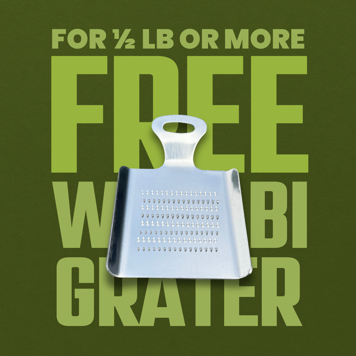 Fresh Wasabi Rhizomes