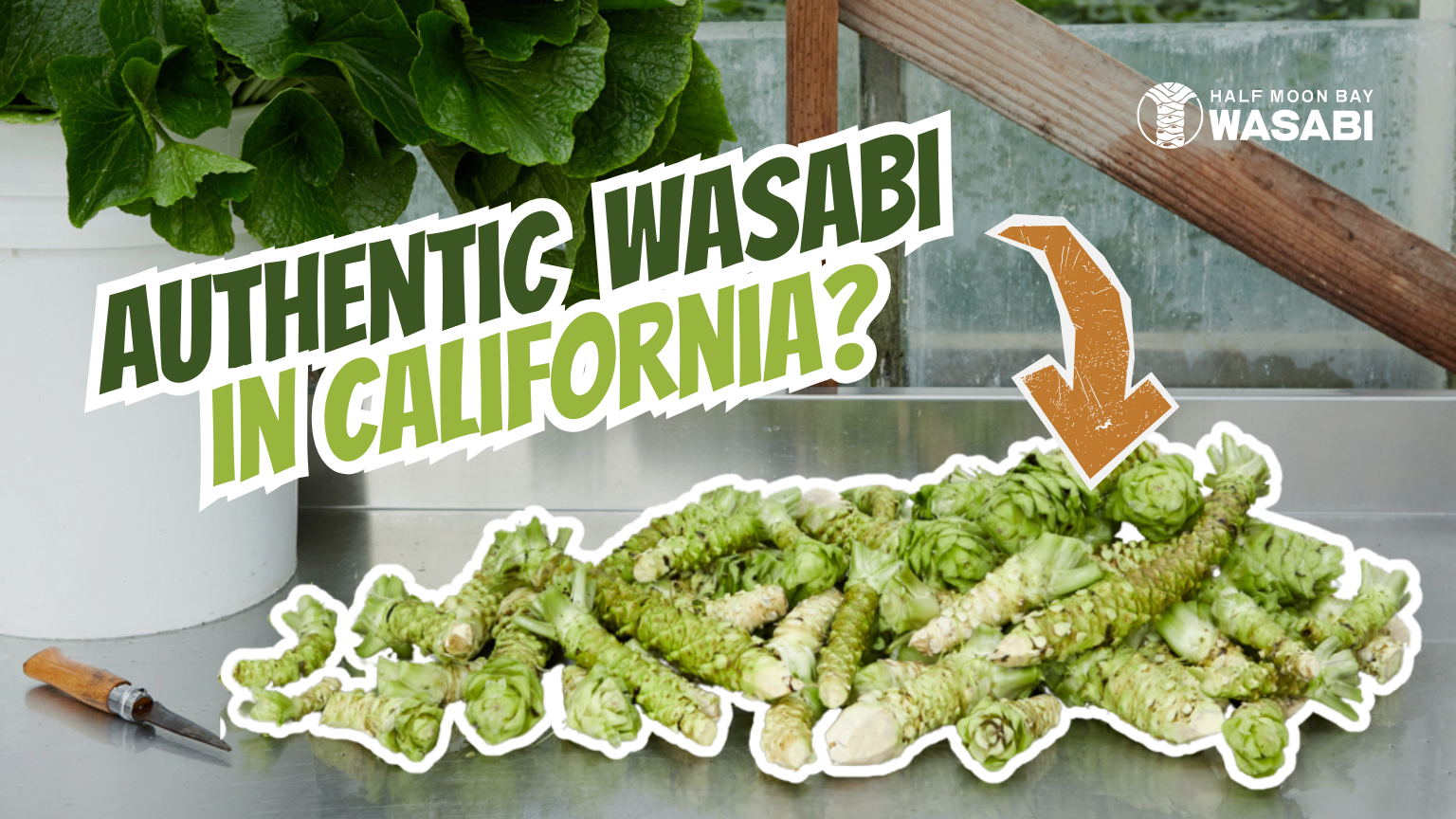 Is Fresh Wasabi Grown in California?