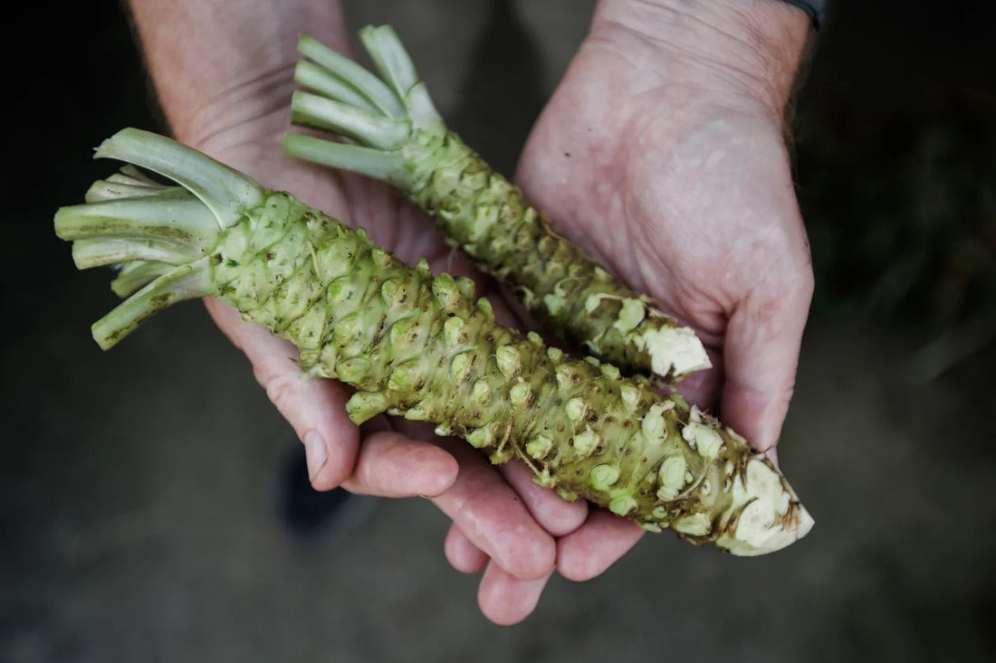 Sustainable Sushi: Great Write-up in The Mercury News
