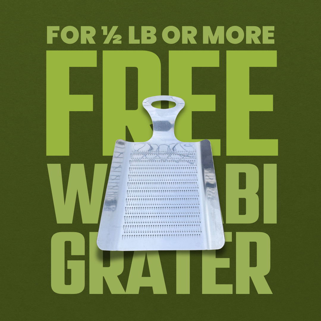 Fresh Wasabi Rhizomes