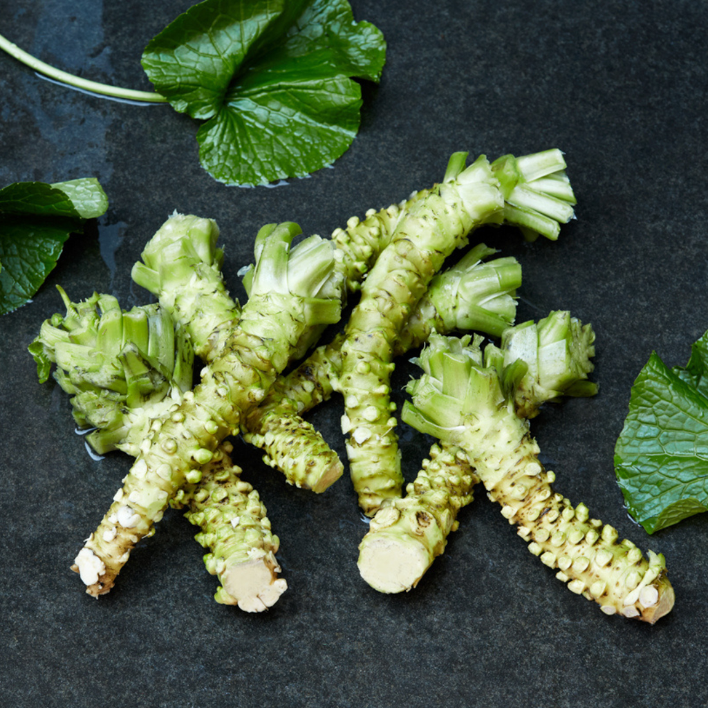 real wasabi rhizomes on a dark surface with wasabi leaves