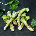real wasabi rhizomes on a dark surface with wasabi leaves